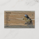 Recherche de hirondelle cartes visite Nature