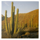 Recherche de père noël carreaux Paysage