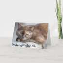 Recherche de se réveiller vœux cartes Chat