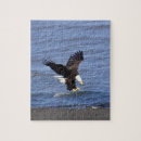 Recherche de aigle puzzles Casse tête