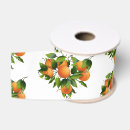 Recherche de agrumes rubans Fruits