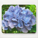 Recherche de hortensia bleu électronique Nature