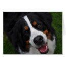 Recherche de visage de chiot Heureux