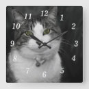 Recherche de yeux verts horloges Animal