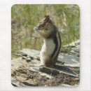 Recherche de fond tapis souris Nature