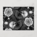 Recherche de pivoine cartes postales Botanique