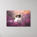 Zoek naar pekingese kunst Canine