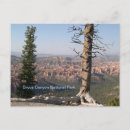 Zoek naar bryce canyon briefkaarten Schilderachtig