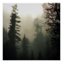 Recherche de foggy posters Arbres