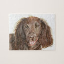 Recherche de cocker spaniel puzzles Canine