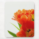 Recherche de tulipe orange tapis souris Tulipes