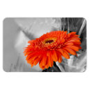 Zoek naar vuur magneten Gloed