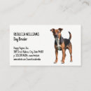 Recherche de alerte cartes visite Chien