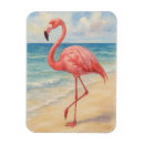 Recherche de flamant magnets Plage
