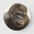 Recherche de gorilla horloges Animal