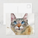 Zoek naar kat briefkaarten Baby
