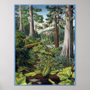 Recherche de écosystèmes posters Forêt