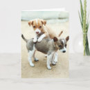Zoek naar puppies kaarten Schatten