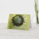 Recherche de pissenlits vœux cartes Pour tous