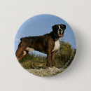 Recherche de canin badges Boxeur