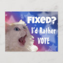 Recherche de drôle chat cartes postales Vote
