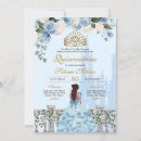 Recherche de princess cinderella Rose
