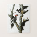 Zoek naar audubon puzzels John james audubon