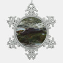 Recherche de phoques ornements Océan