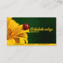 Zoek naar kever visitekaartjes Natuur