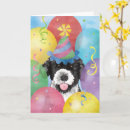 Zoek naar portugese waterhond kaarten Portie