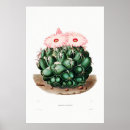 Recherche de dessin de cactus posters Pour elle