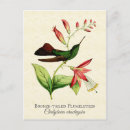 Zoek naar hummingbird briefkaarten Botanisch