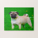 Recherche de carlins puzzles Pour animaux