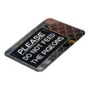 Recherche de pigeon magnete Oiseau