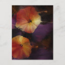 Recherche de gloire cartes postales Vigne