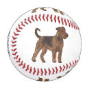 Recherche de terriers Airedale terrier