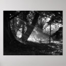 Recherche de landscape photography posters Nature