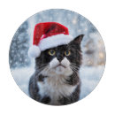 Recherche de chat noir planches à découper Noir et blanc