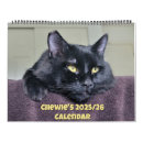 Recherche de chat noir calendriers De chats