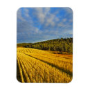 Recherche de producteurs magnets Ferme