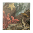 Recherche de vie aquatique carreaux Algues