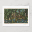 Recherche de hammock cartes postales Floride