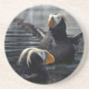 Zoek naar wildlife onderzetters Alaska