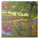 Recherche de miroir carreaux Paysage