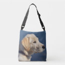 Recherche de laboratoire jaune sacs Chien