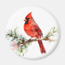Recherche de oiseaux verts magnets Vacances
