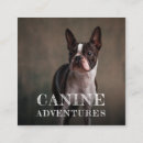 Recherche de marche de chien cartes visite Moderne