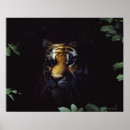 Recherche de corps ver posters Animal