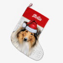 Recherche de colley chaussette de noël Dogs