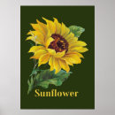 Recherche de tournesol vintage posters Pays